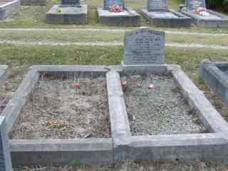 Full-size image