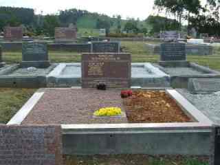 Full-size image