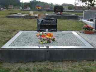 Full-size image