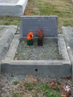 Full-size image