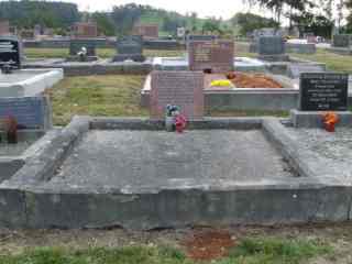 Full-size image