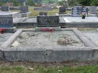 Full-size image
