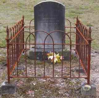 Full-size image