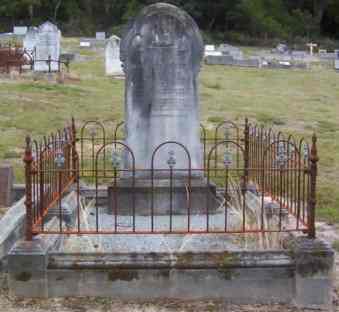 Full-size image