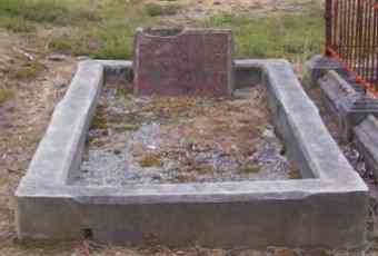 Full-size image