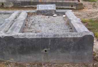 Full-size image