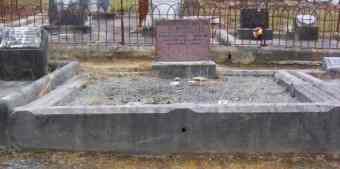 Full-size image