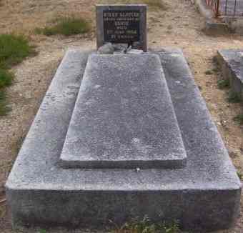 Full-size image