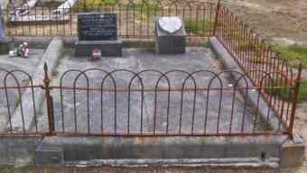 Full-size image