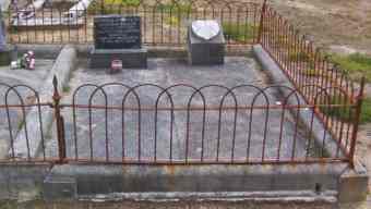 Full-size image