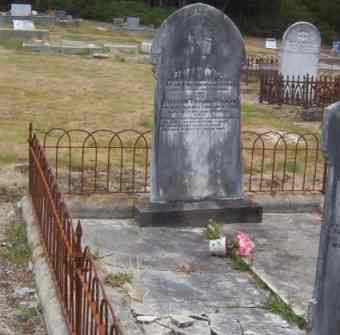 Full-size image