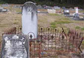 Full-size image