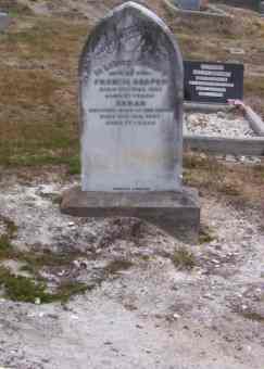 Full-size image