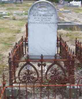 Full-size image