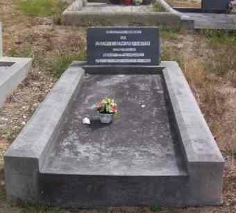Full-size image