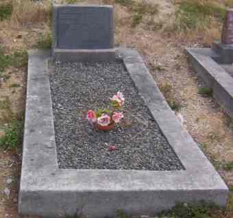 Full-size image