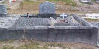 Full-size image