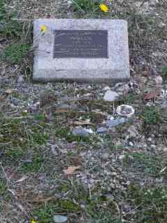 Full-size image