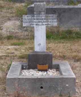 Full-size image