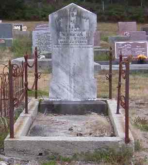 Full-size image