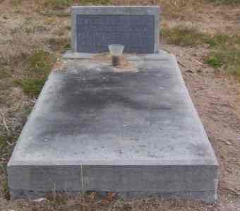 Full-size image