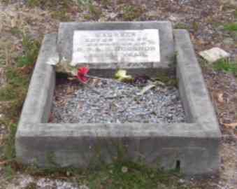 Full-size image