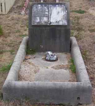 Full-size image