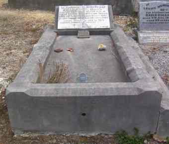 Full-size image