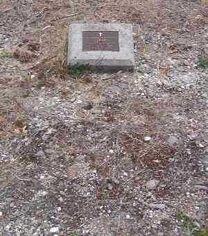 Full-size image