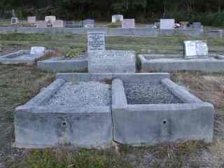 Full-size image