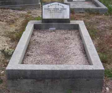 Full-size image