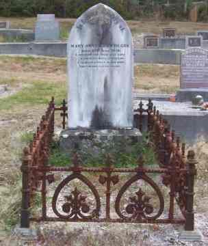 Full-size image