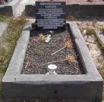 Full-size image