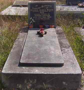 Full-size image