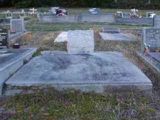 Full-size image