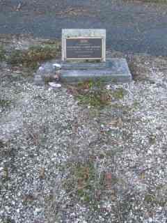Full-size image