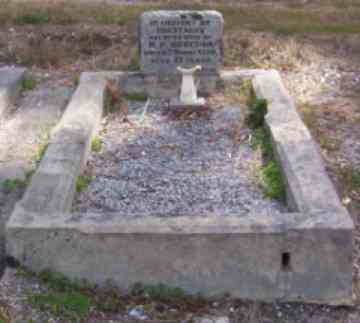 Full-size image