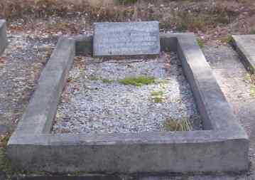 Full-size image