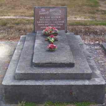 Full-size image