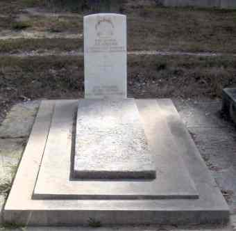 Full-size image