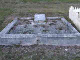 Full-size image