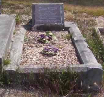 Full-size image