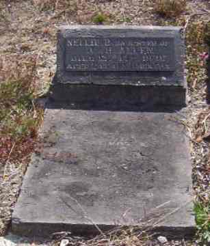 Full-size image