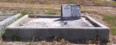 Full-size image