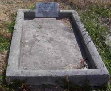 Full-size image
