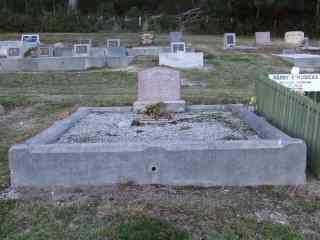 Full-size image