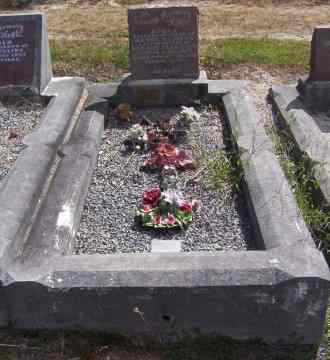 Full-size image