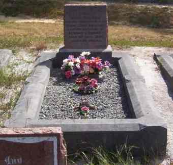 Full-size image