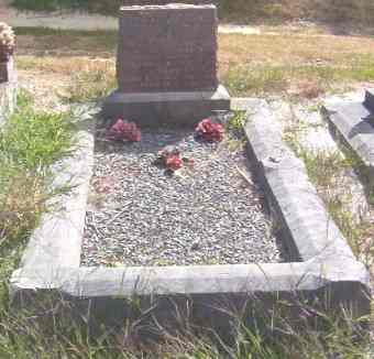 Full-size image
