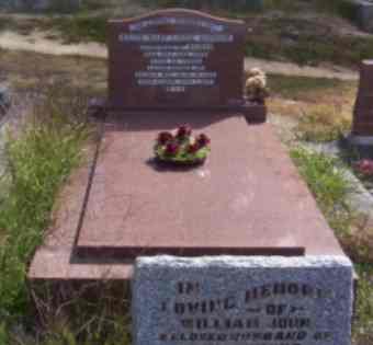 Full-size image
